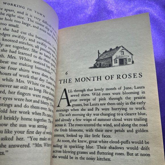 📌Little Town on the Prairie & The Adventures of Tom Sawyer - Picture 4 of 10